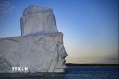 Vịnh Scoresby, Greenland. (Ảnh: AFP/TTXVN)